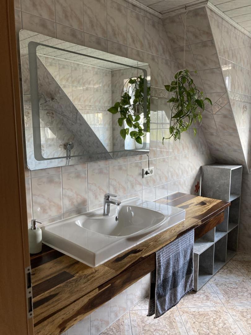 Neu Ferienwohnung Hofmann Husum  Dış mekan fotoğraf